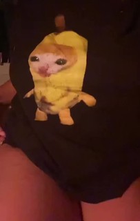 ************ preview 1