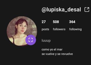 Aporte de un Seguidor preview 9