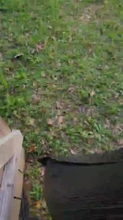 Cuckson's fat ass mom. preview 6