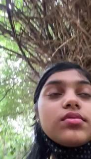 In the wild preview 1