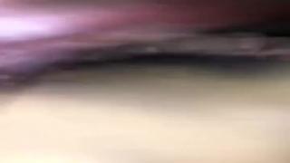 sister and brother sex