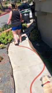 Cuckson's big ass mom creepshots shared as he requested it. preview 3