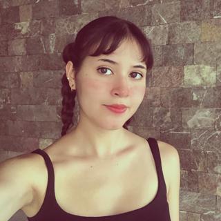 Aporte de un Seguidor preview 17