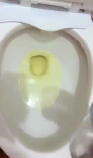 Dumb pig drinks toilet water and wedgies her tight spic pussy. Kik bullmaster999 to be next preview 4