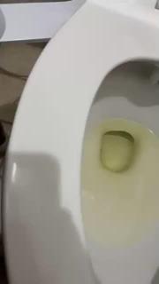 Dumb pig drinks toilet water and wedgies her tight spic pussy. Kik bullmaster999 to be next preview 3