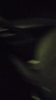 Gorda culona infiel preview 2