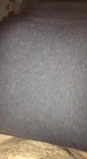 Cuck revealing his wife preview 5