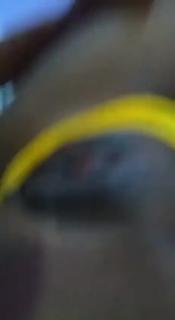 Novinha pretinha da favela tomando uma chupada gostosa na bucetinha e ela retribuindo mamando preview 1