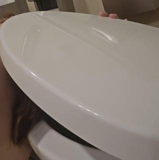 Help this Toilet pig go famous preview 4