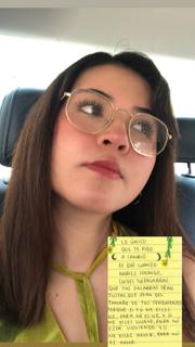 Aporte de un Seguidor preview 19