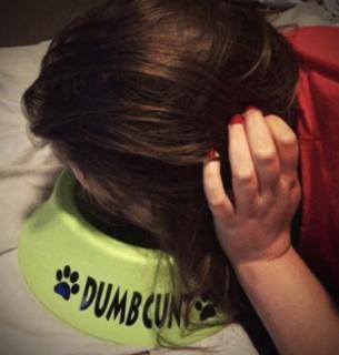 Down Fall of Chunks bimbo to Pig preview 26