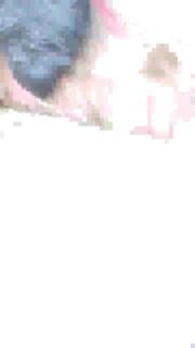 Cuckson's fat ass mom. preview 2