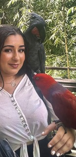 *********** preview 5